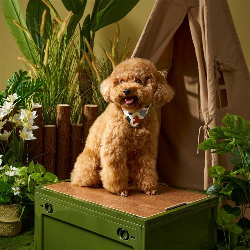 MaH Pet Pandana | Puppy Collar